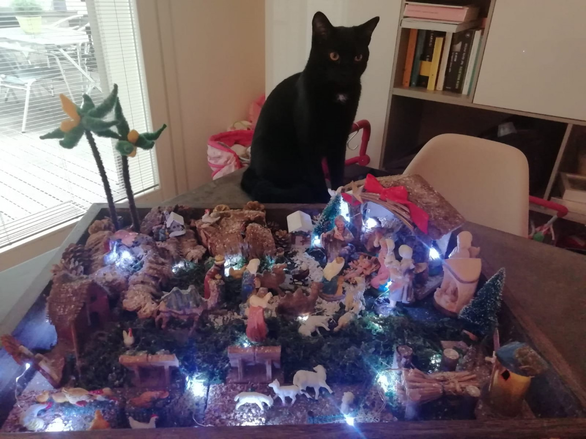 Viola Colombo - Cresima 1